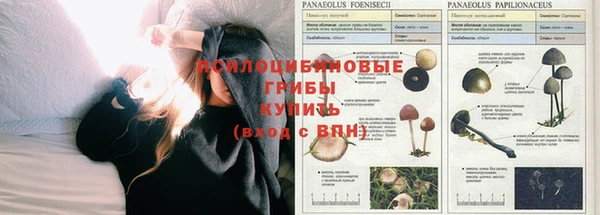 Альфа ПВП Семикаракорск