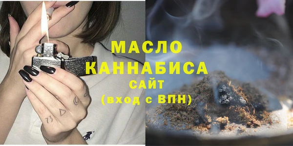 индика Елизово